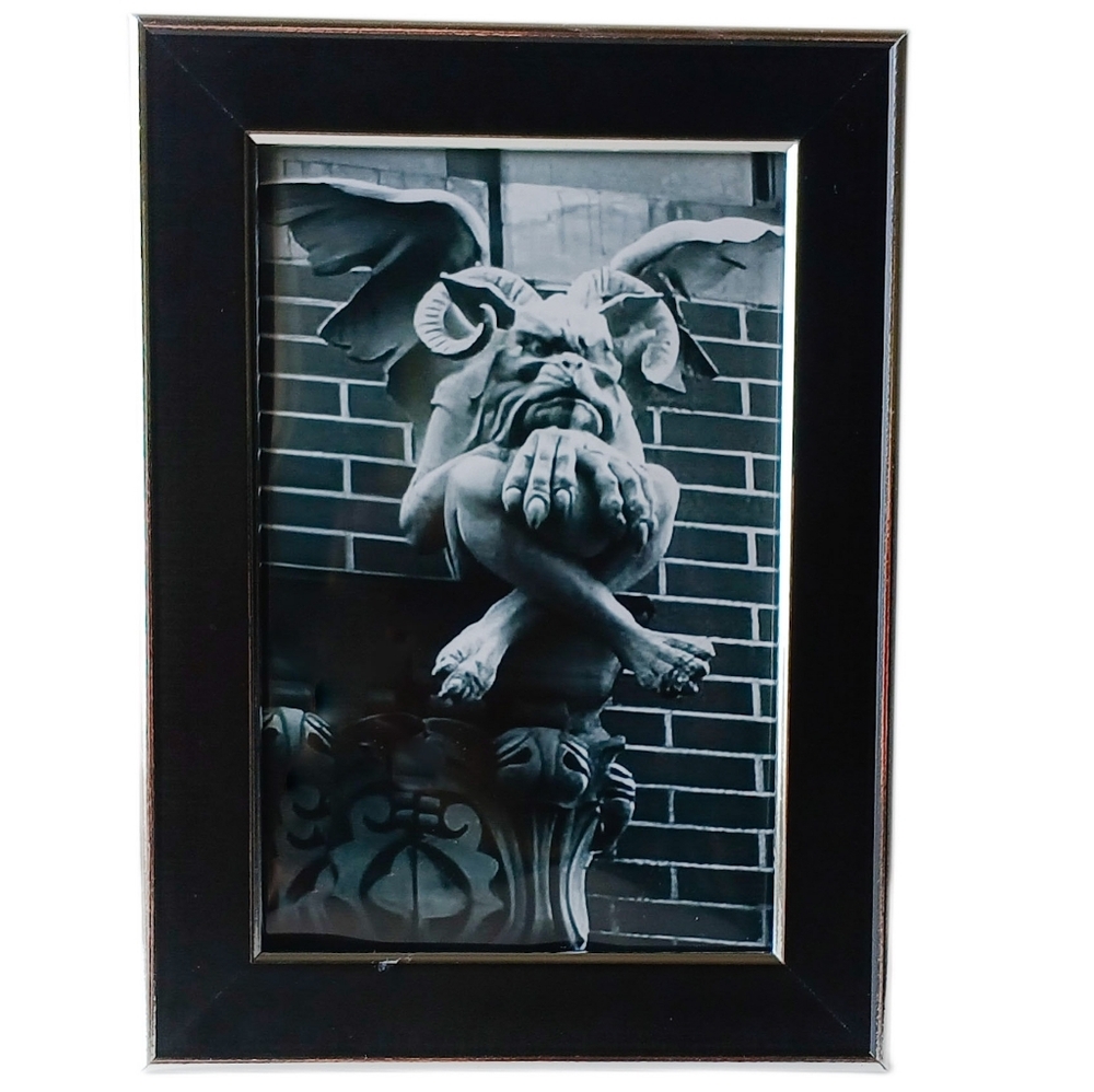 Beautiful church gargoyle , vintage carved Art Gothic Dark Beauty Vintage Craved